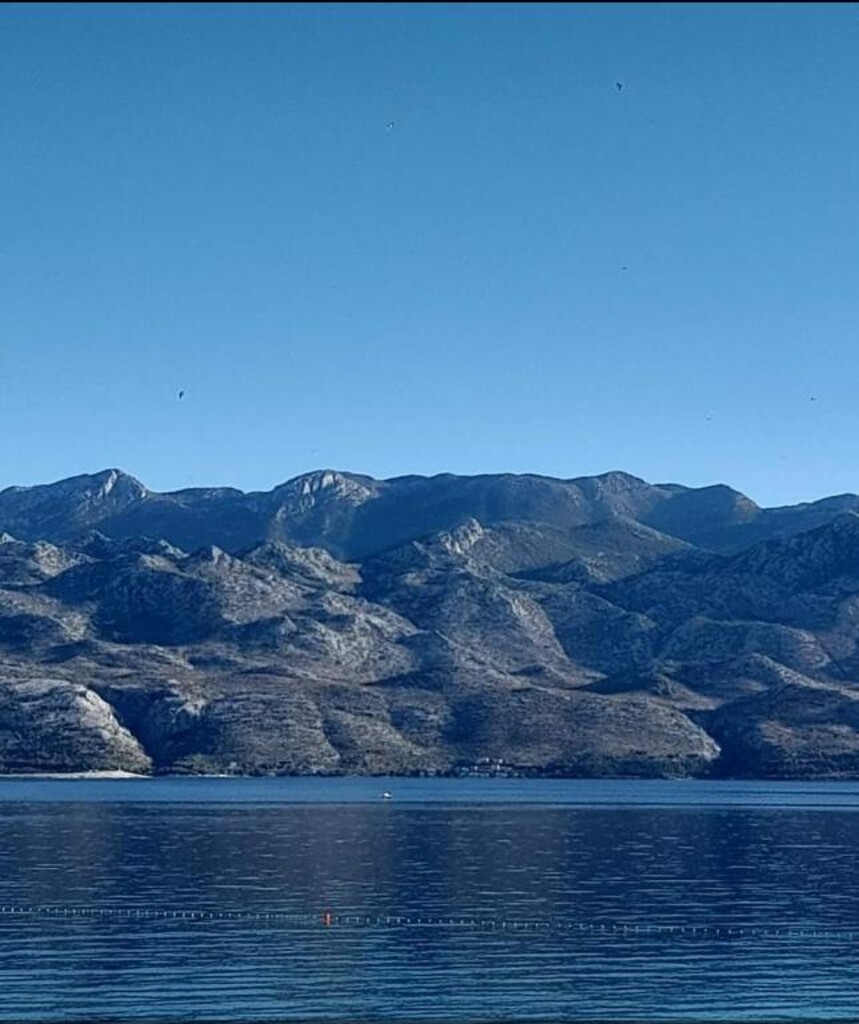 Image 3815065 - 37