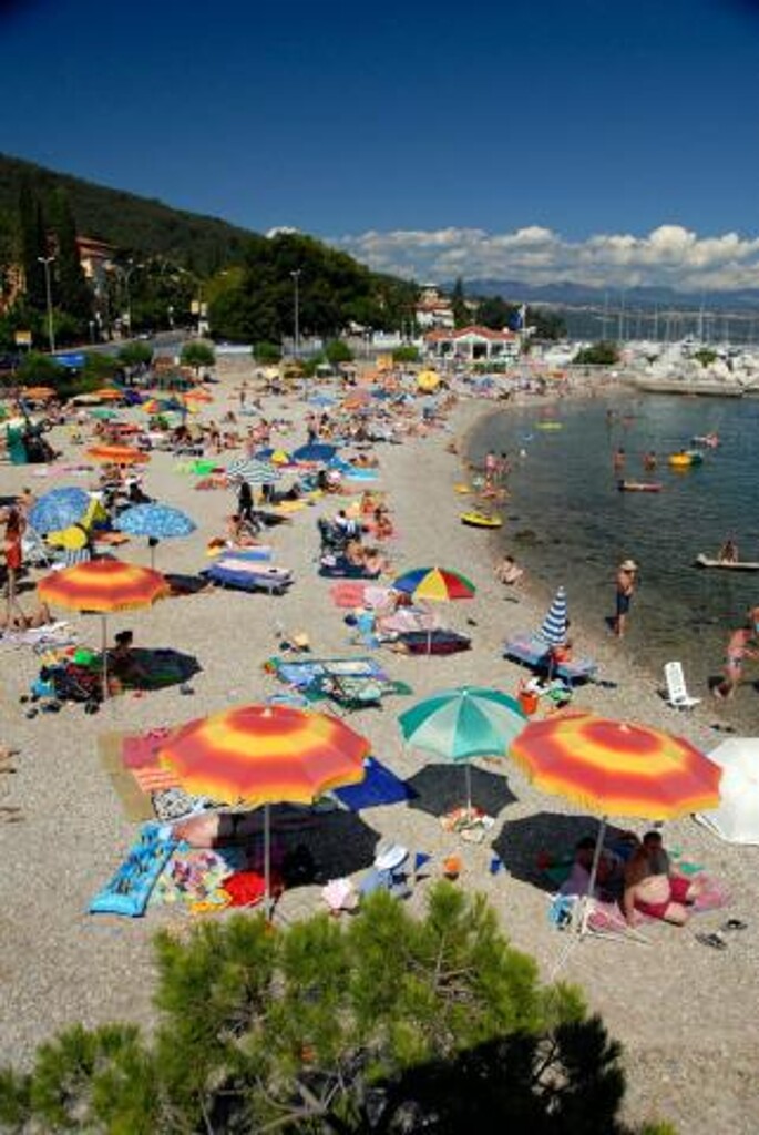 Image 3810559 - 5