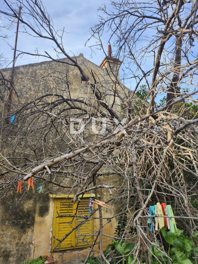 Image 15