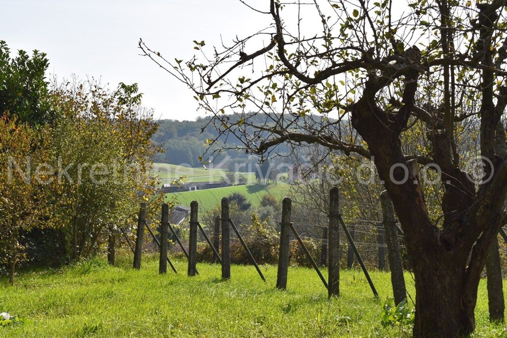 Image 6151249 - 2