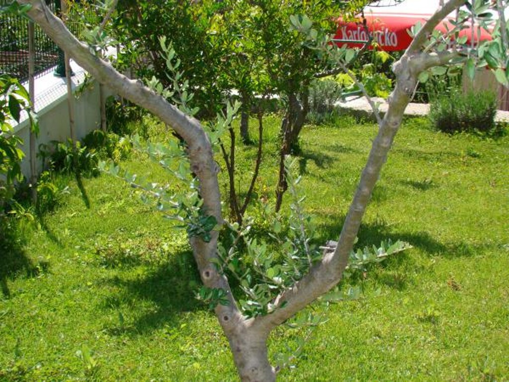 Image 3810879 - 21