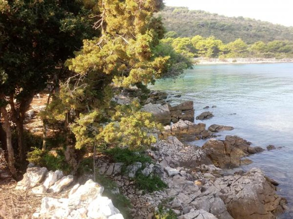 Image 3823651 - 22