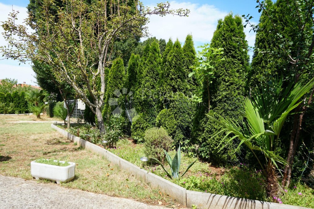 Image 13