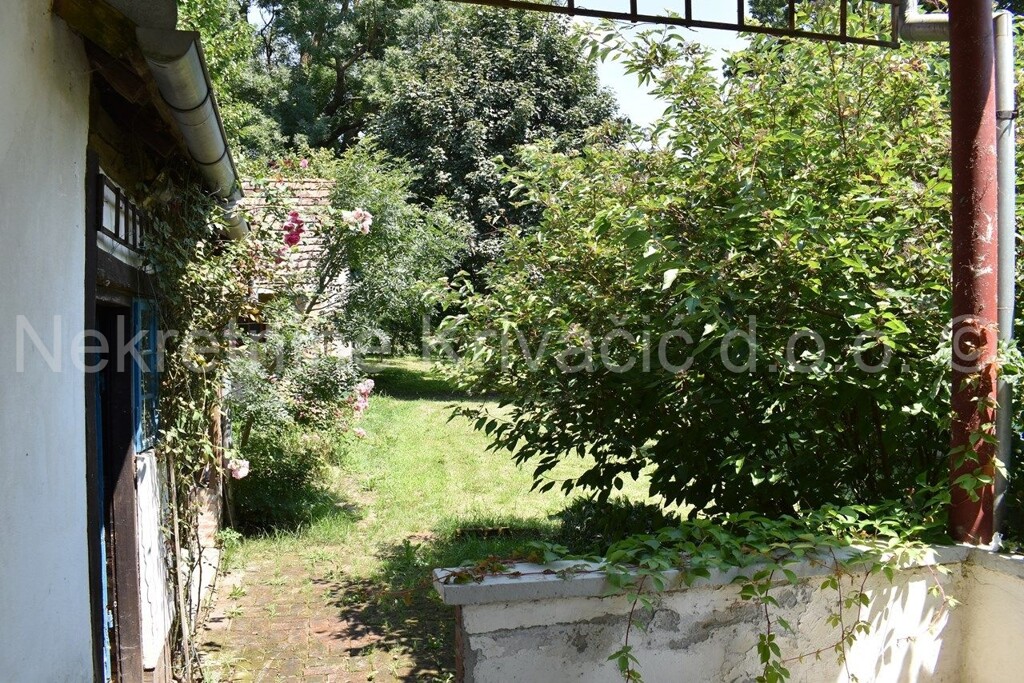 Image 5946076 - 14