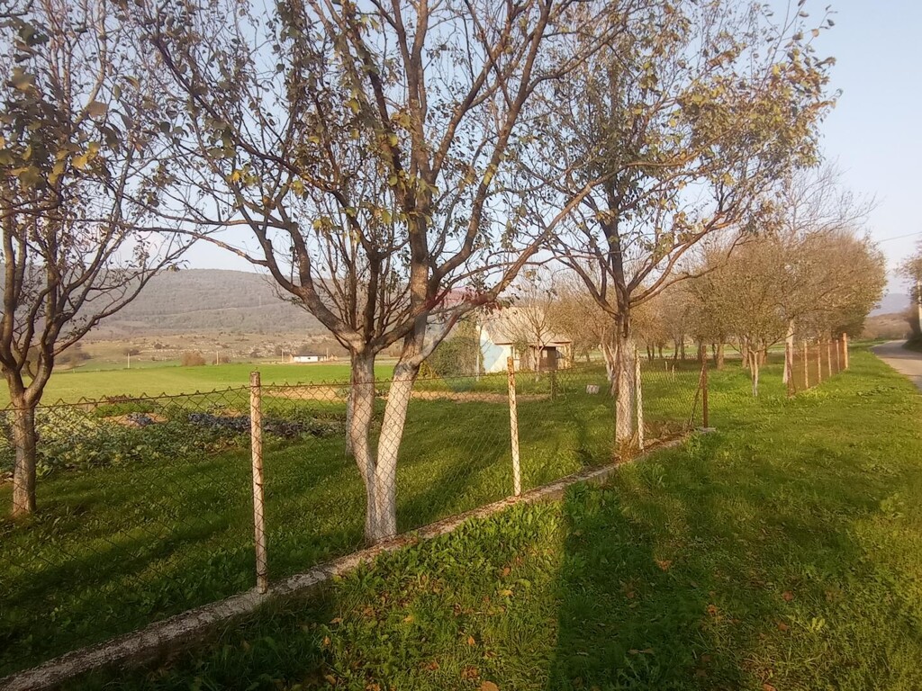 Image 5487649 - 2