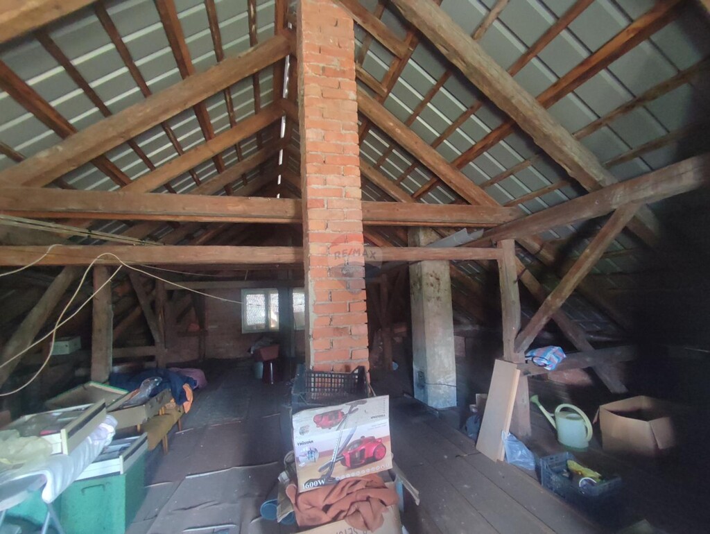 Image 13