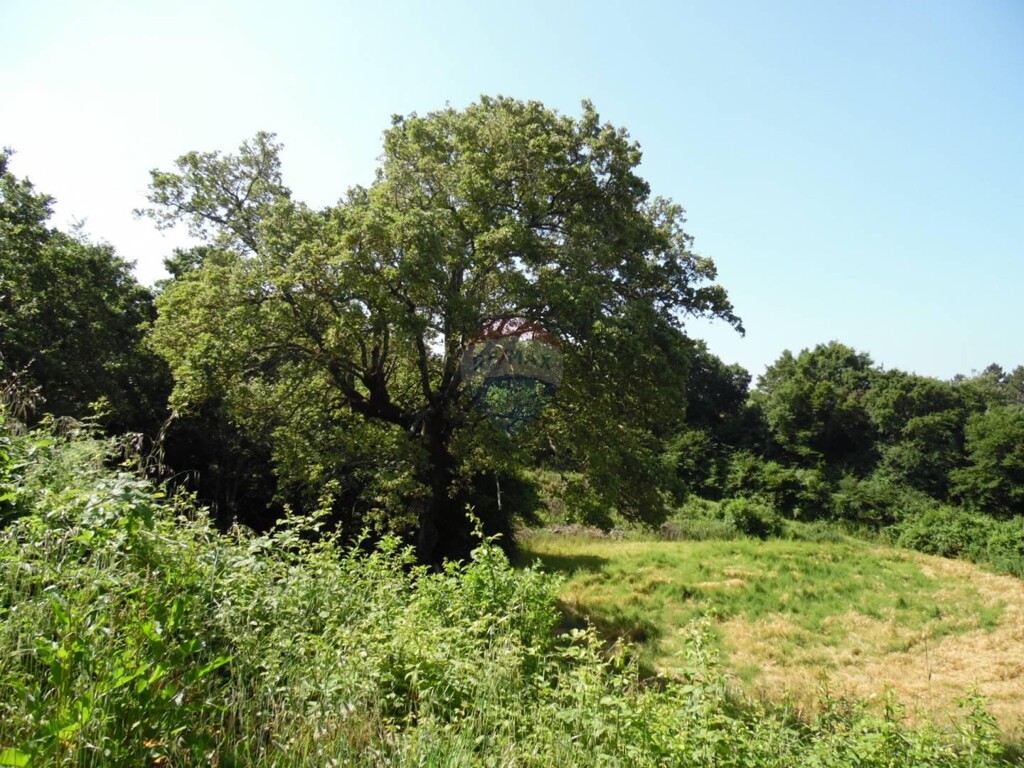 Image 5443570 - 3