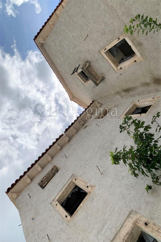 Image 13