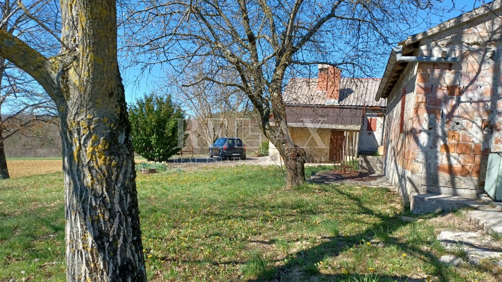 Image 9