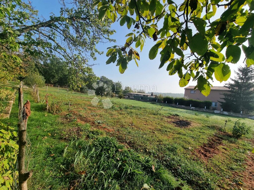 Image 15