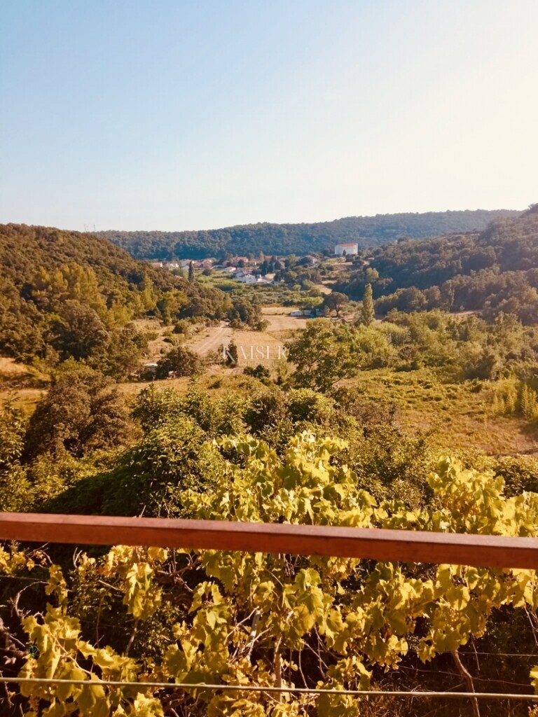 Image 15