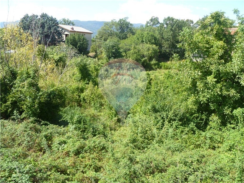 Image 5411167 - 2
