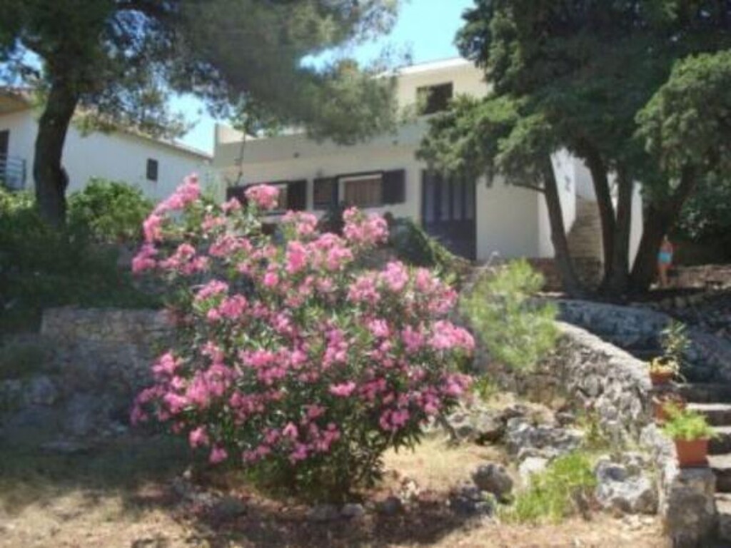Image 3815166 - 1
