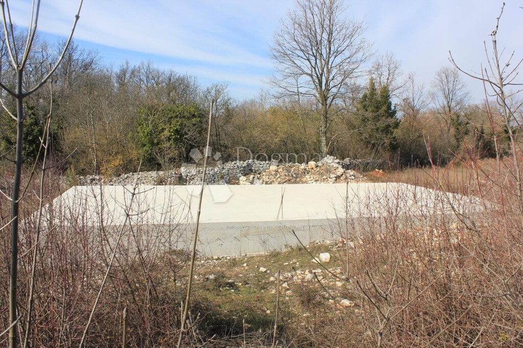 Image 23