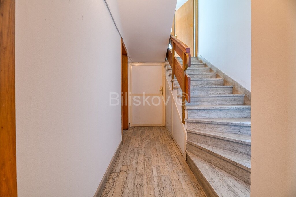 Image 13