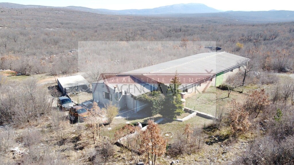 Image 9