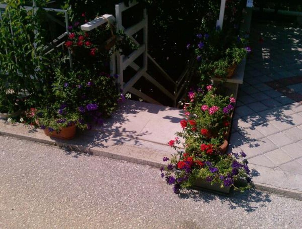 Image 3812807 - 8