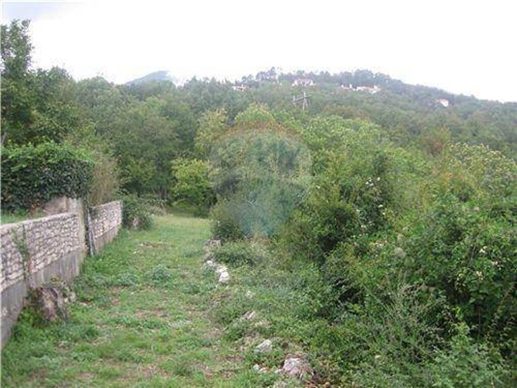 Image 5411415 - 5