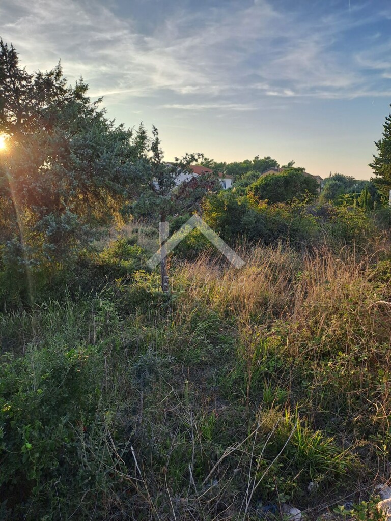 Image 5476163 - 4