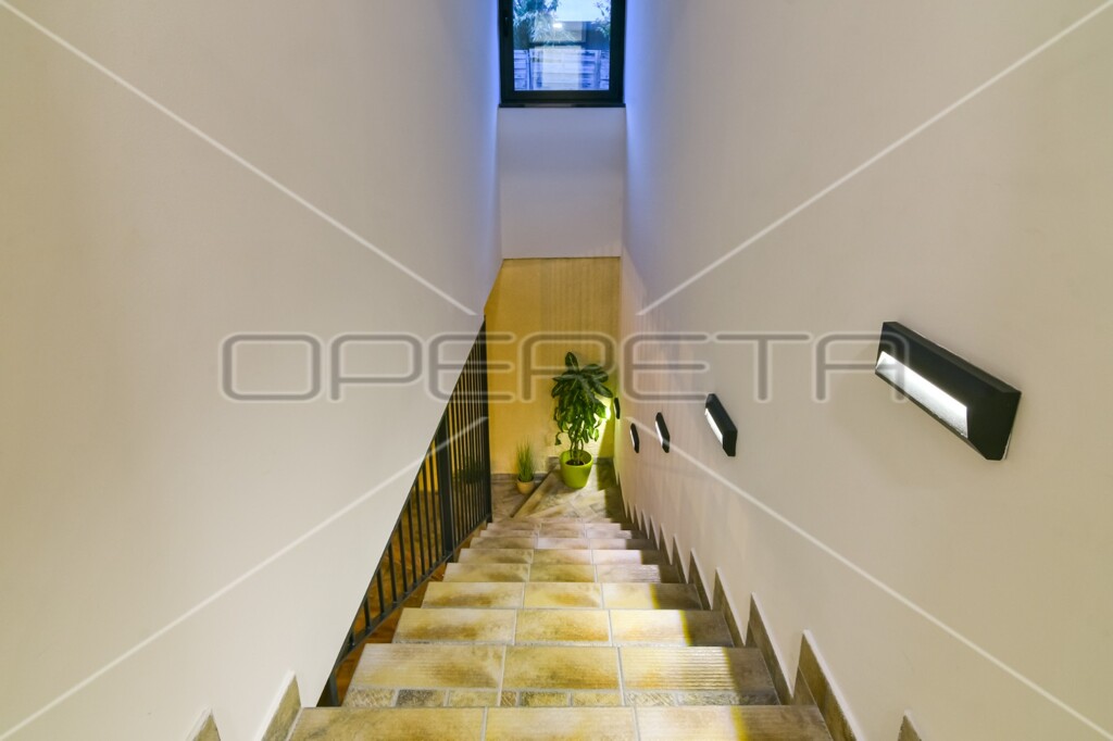 Image 16