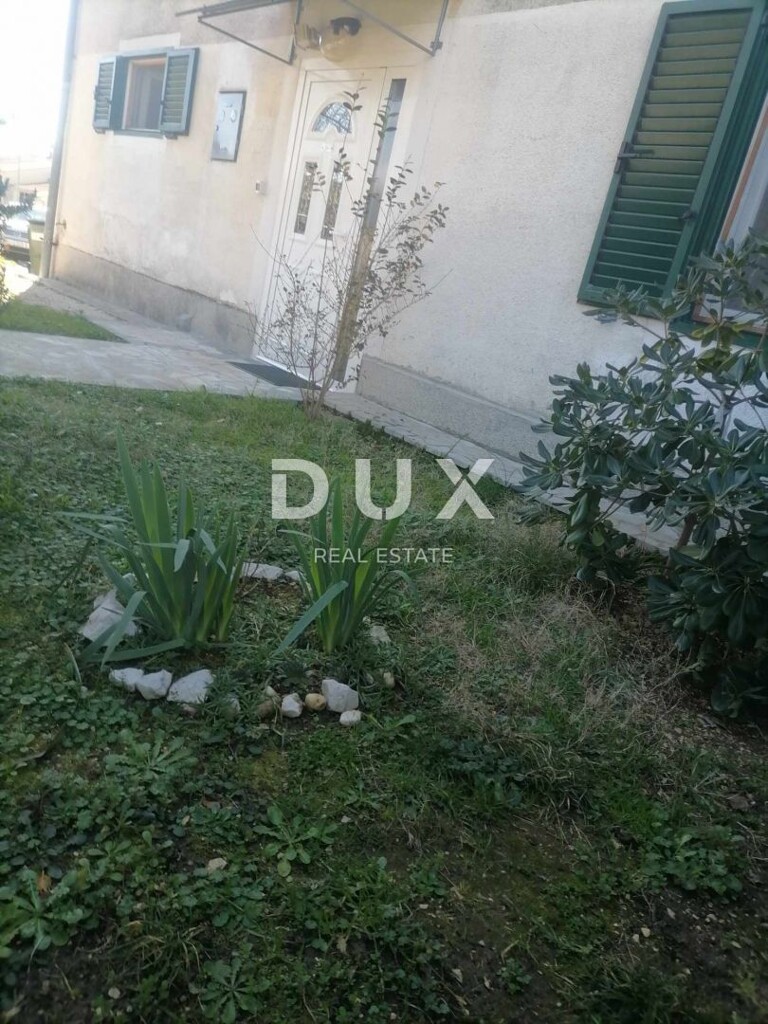 Image 13