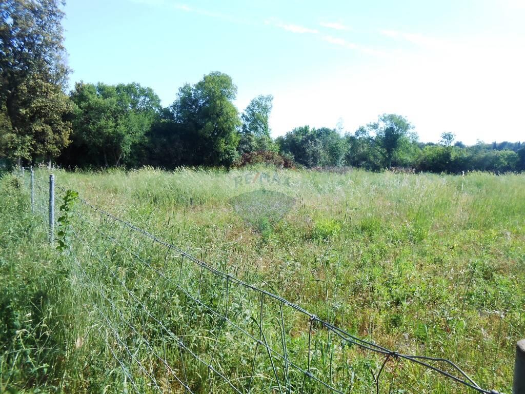 Image 5410287 - 5