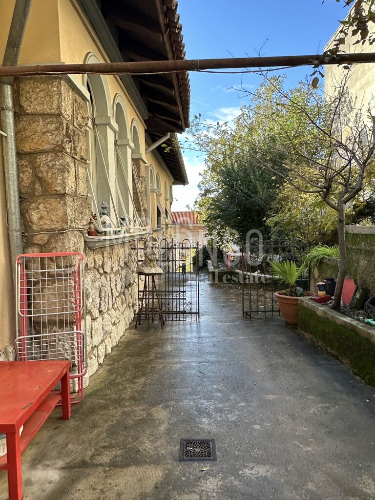Image 19