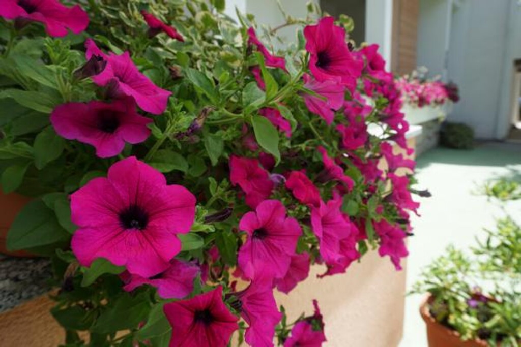 Image 3814819 - 2