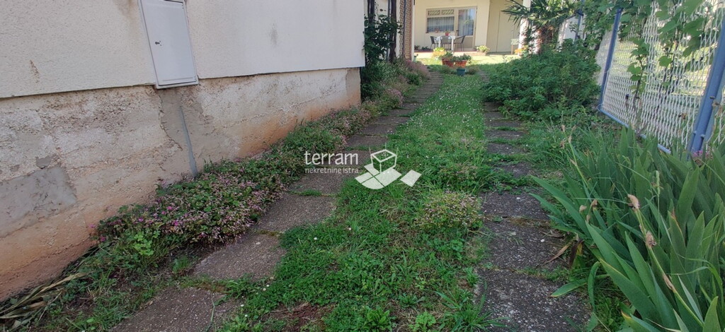 Image 22