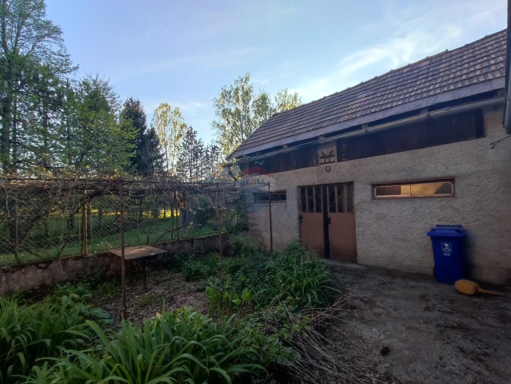 Image 13