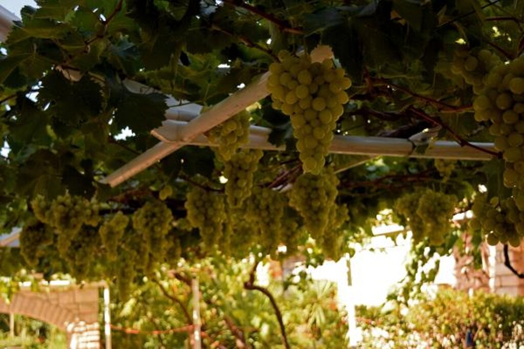 Image 3814412 - 5