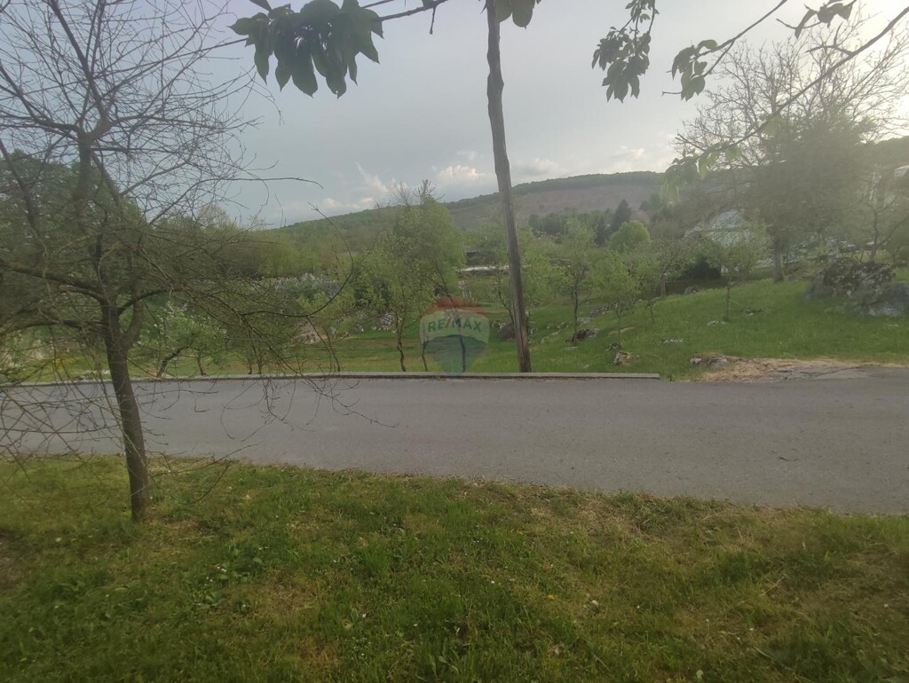 Image 14