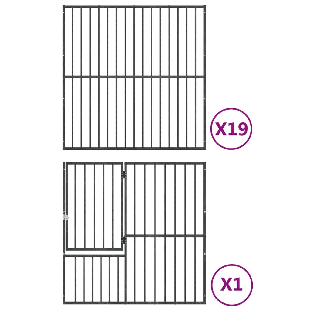 Image 7