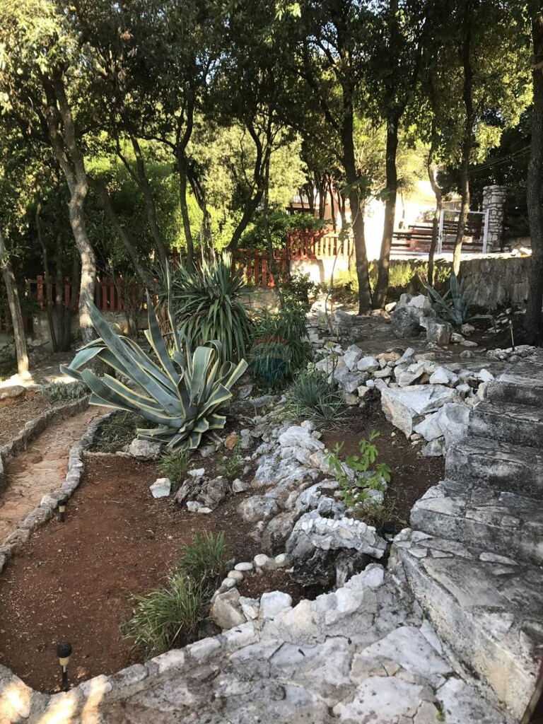 Image 18