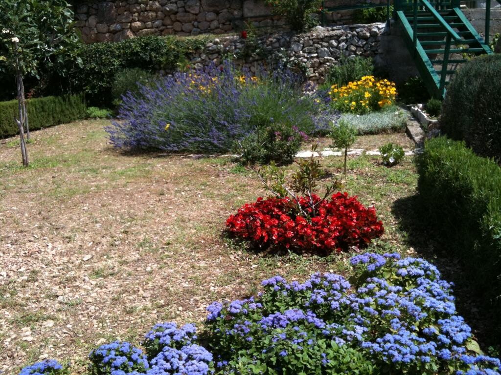 Image 13
