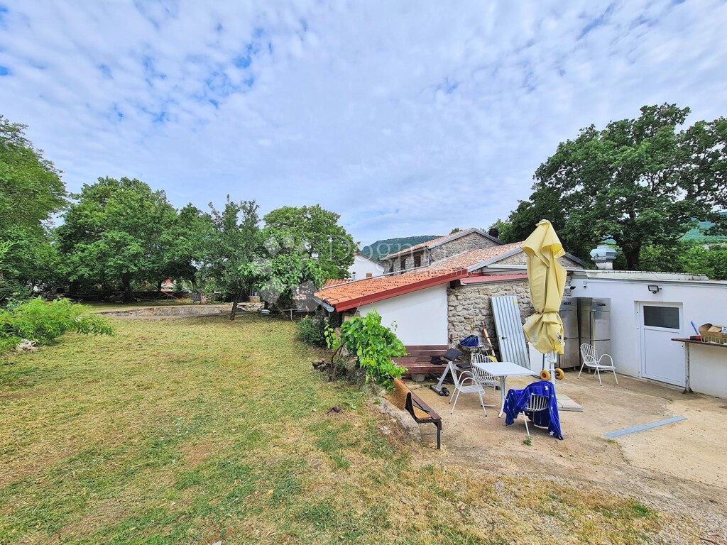 Image 20