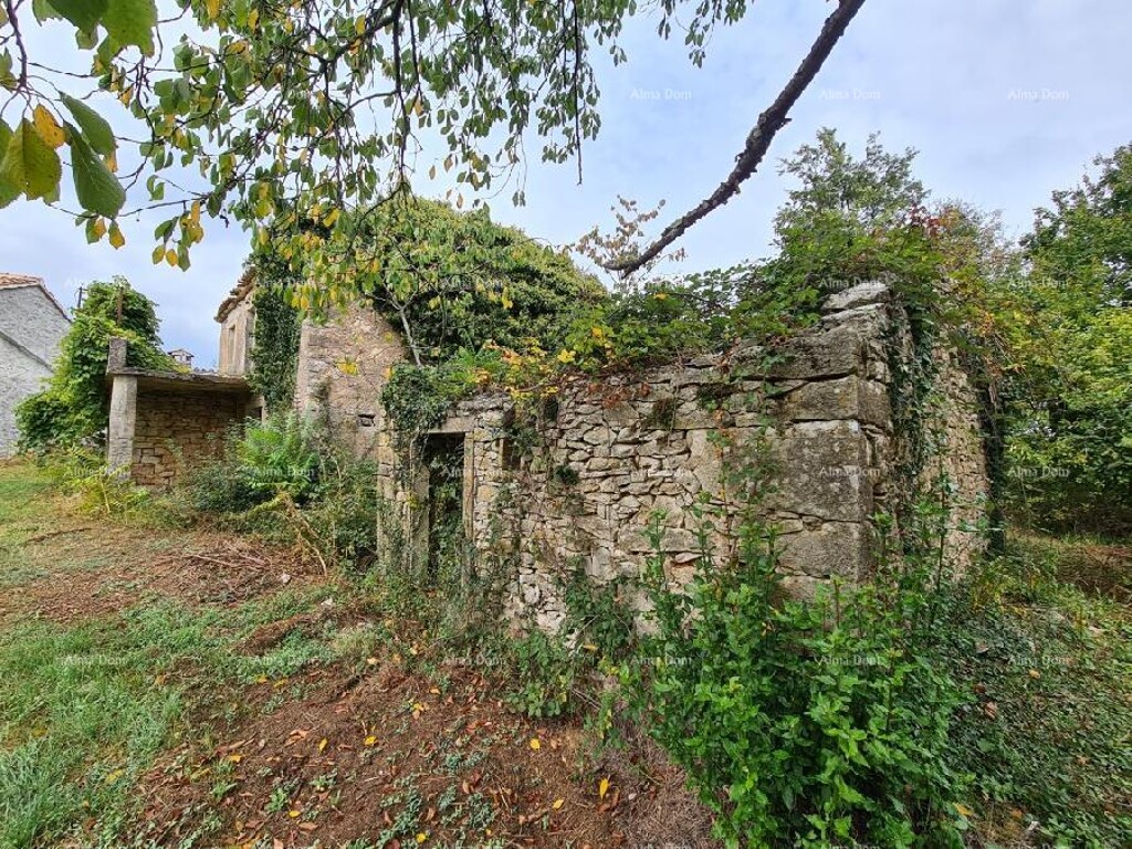 Image 14