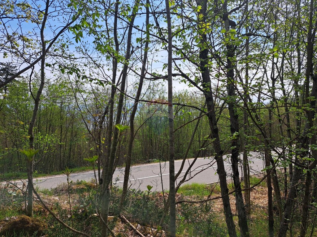 Image 5429984 - 1