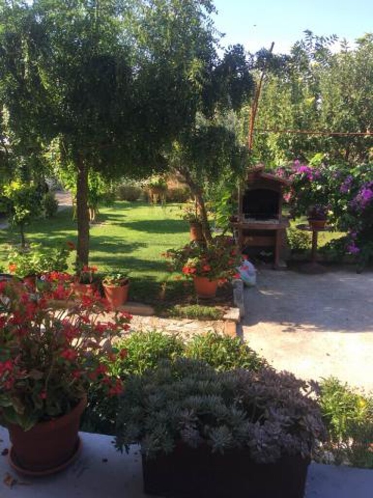 Image 3838799 - 7