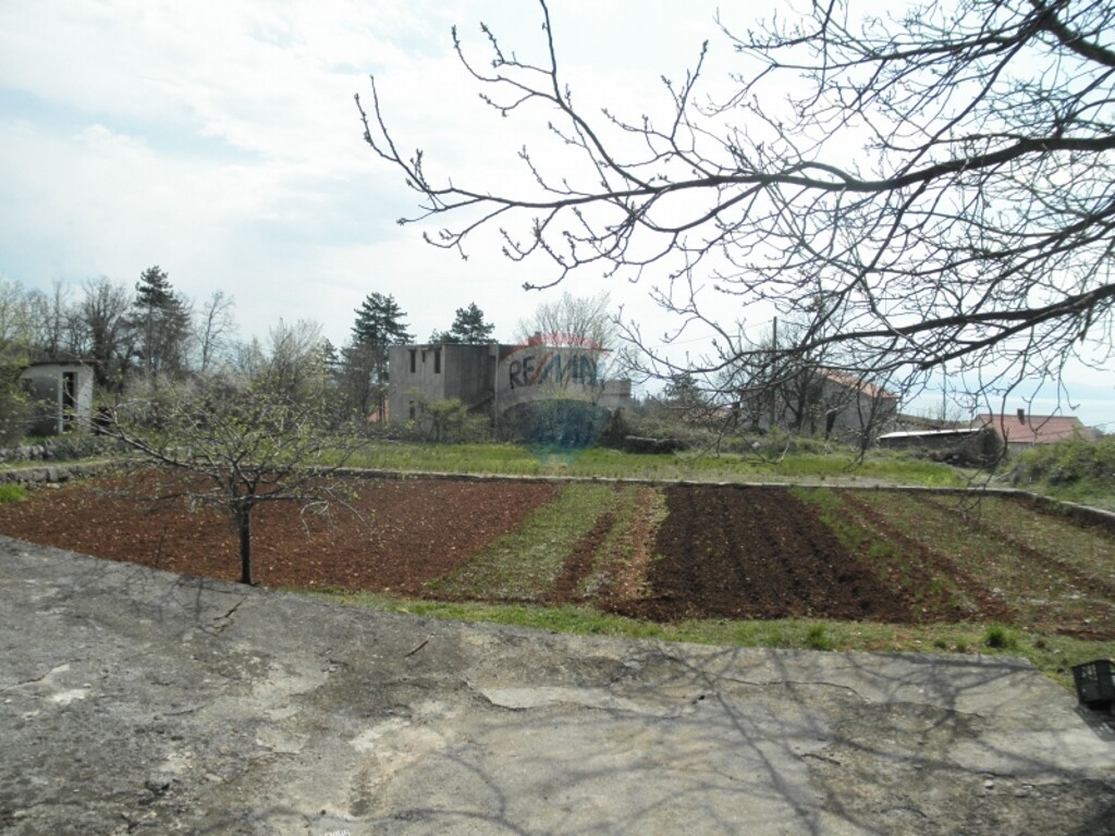 Image 5411058 - 2