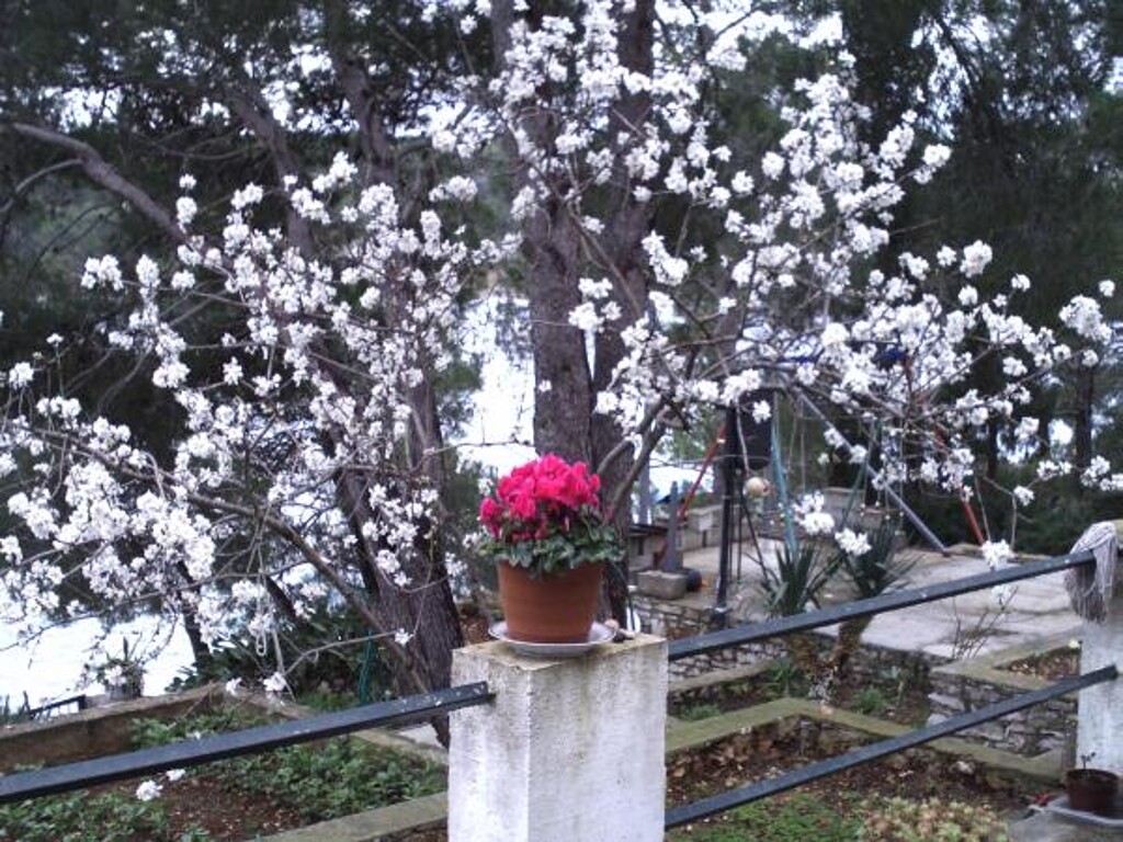 Image 3812301 - 6