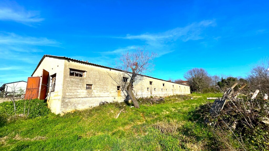 Image 10