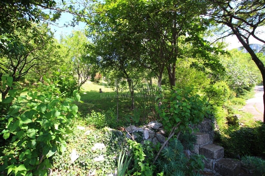Image 20