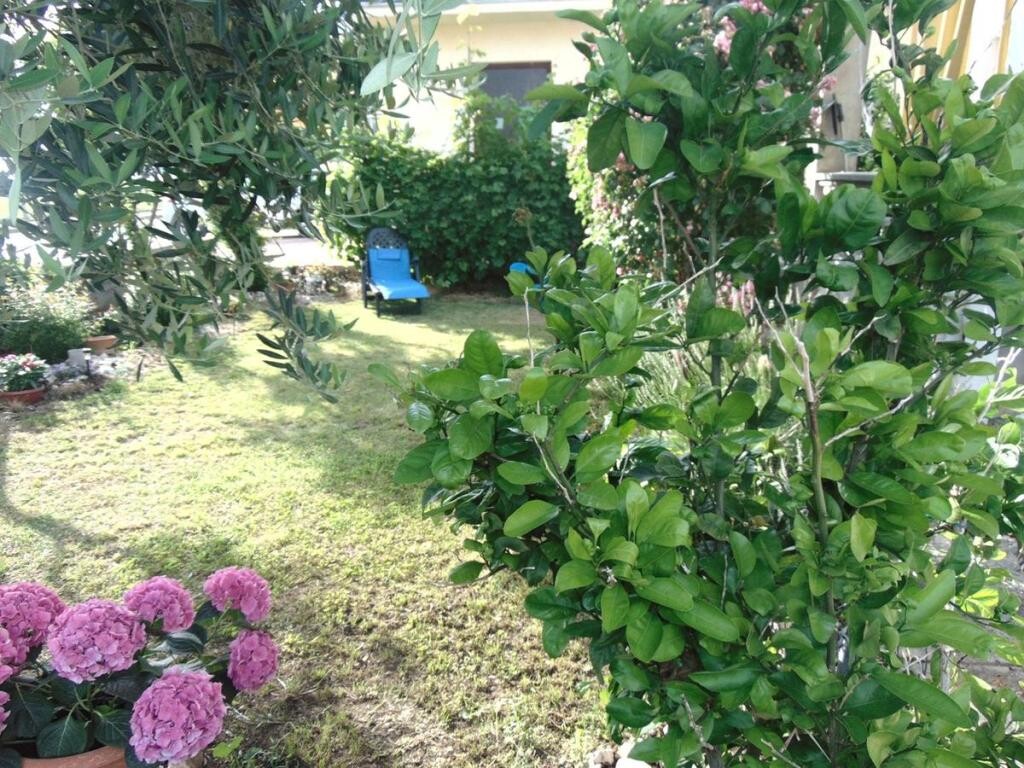 Image 3814032 - 2