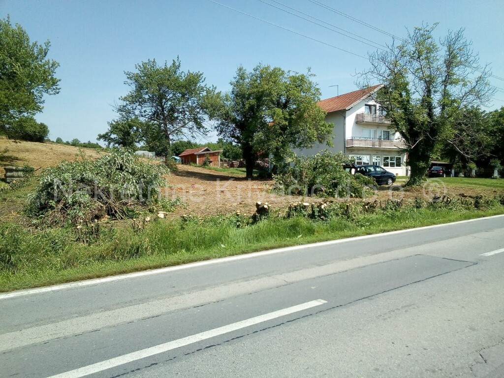 Image 5860322 - 1