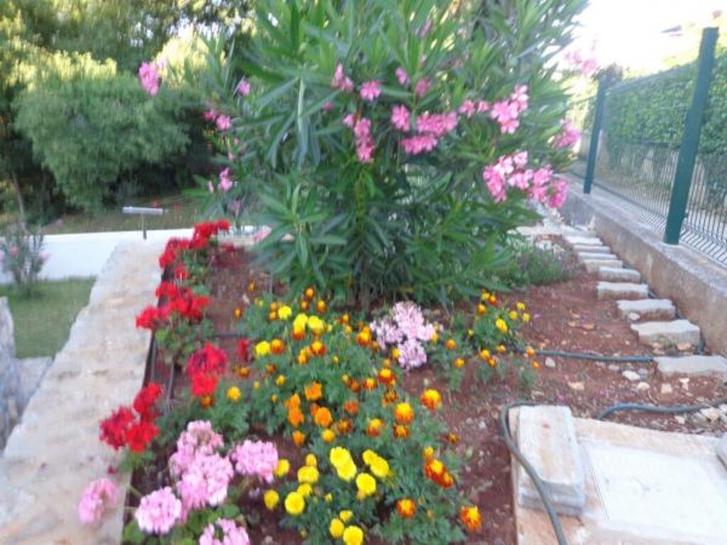 Image 3812928 - 5