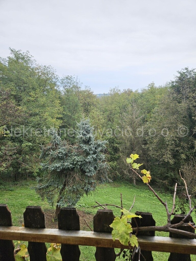 Image 6170928 - 11