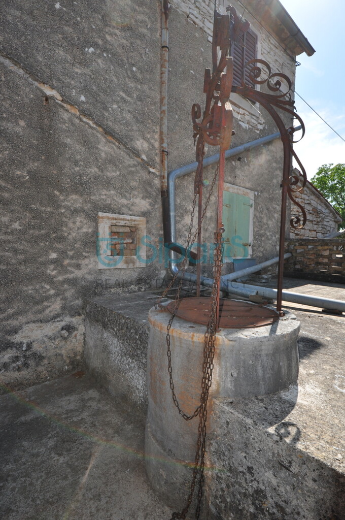 Image 13