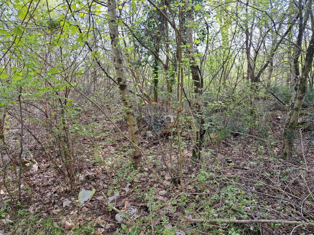 Image 5429984 - 6