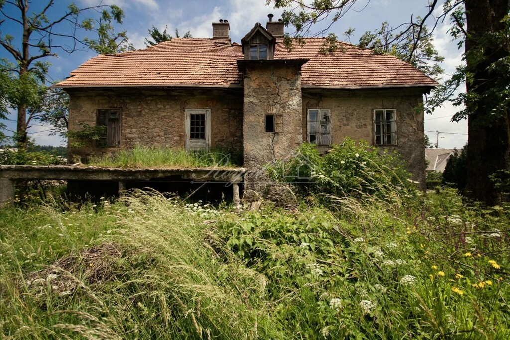 Image 16